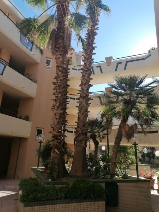 Vue Apartment